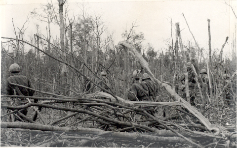 Trapazoid 3RD PLATOON, Nov 24, '67